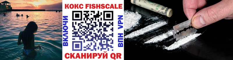 цены   кракен вход  COCAIN Fish Scale  Гурьевск 