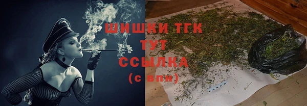 индика Переславль-Залесский