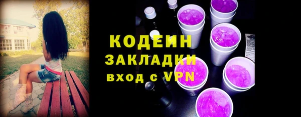 индика Переславль-Залесский