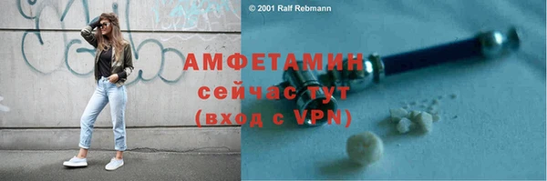 индика Переславль-Залесский