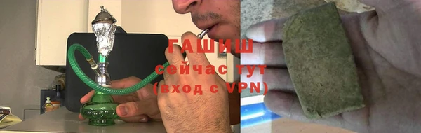 гидра Осинники