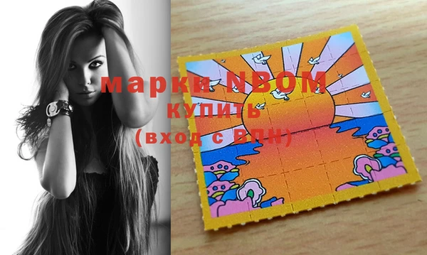 дурь Пестово