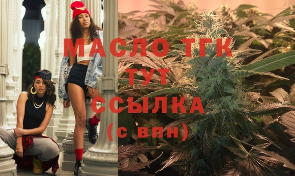 индика Переславль-Залесский