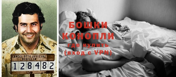индика Переславль-Залесский