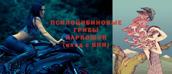 стаф Валдай