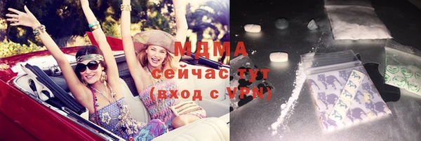 индика Переславль-Залесский