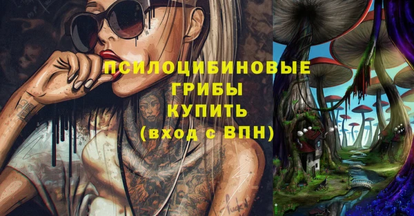 индика Переславль-Залесский
