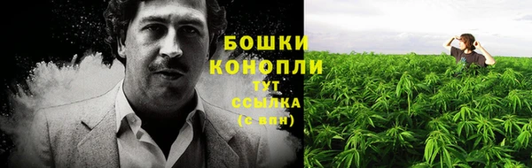 дурь Пестово