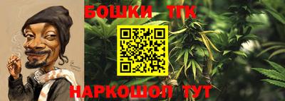 гидропоника Азнакаево