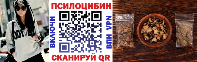 Псилоцибиновые грибы GOLDEN TEACHER  наркотики  Гурьевск 