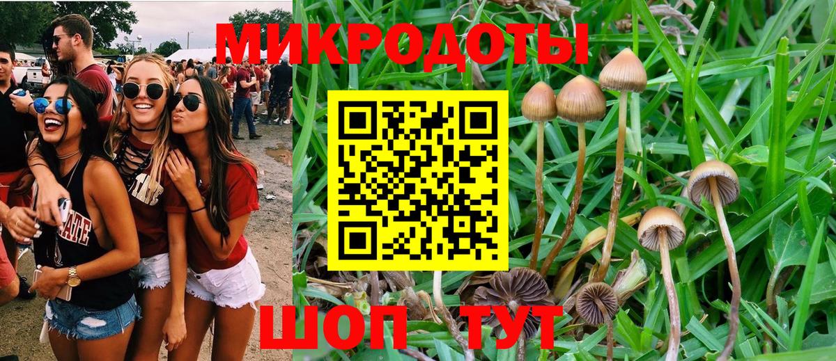 Галлюциногенные грибы мицелий  Галлюциногенные грибы GOLDEN TEACHER  Гурьевск 