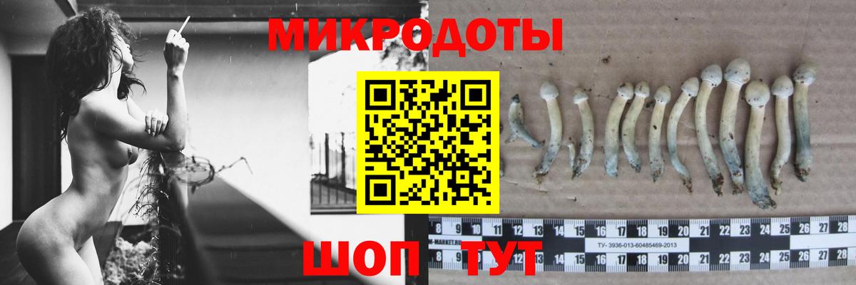 Галлюциногенные грибы прущие грибы  Вход с VPN  Гурьевск 